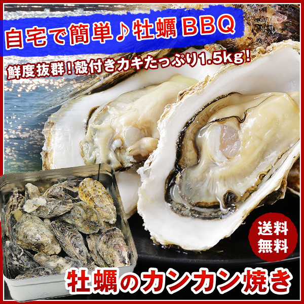 【送料無料】牡蠣のカンカン焼き　殻付きマガキたっぷり1.5kg！《※冷凍便》BBQ/バーベキュー    